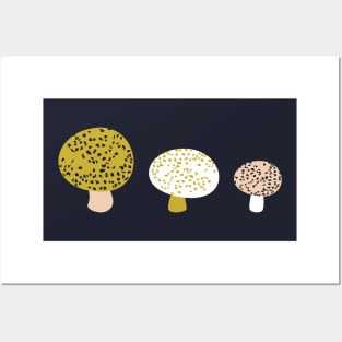 Toadstools (Ripe) Posters and Art